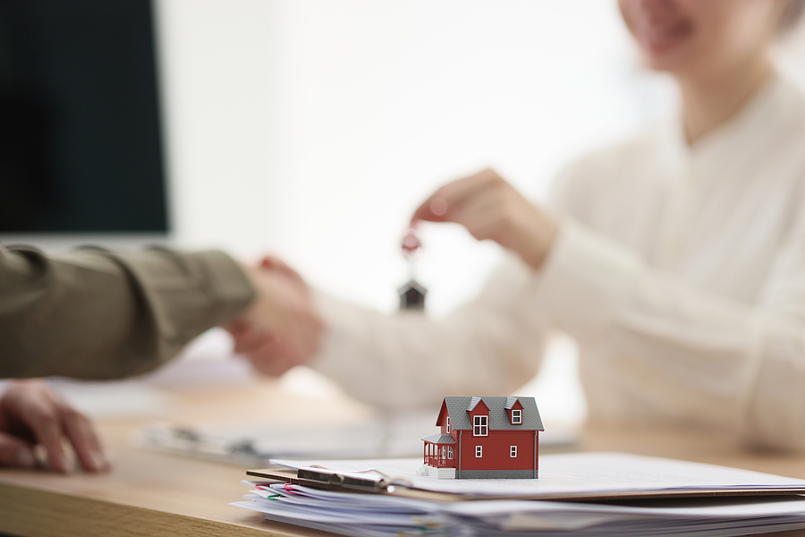 Compare Solicitors and Legal Experts in Seconds